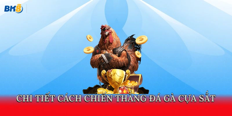 Chi tiết cách chiến thắng đá gà cựa sắt