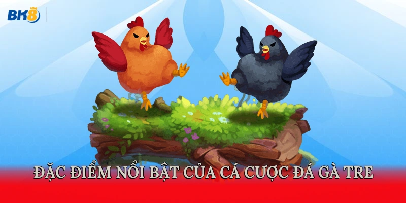 Đặc điểm nổi bật của cá cược đá gà tre