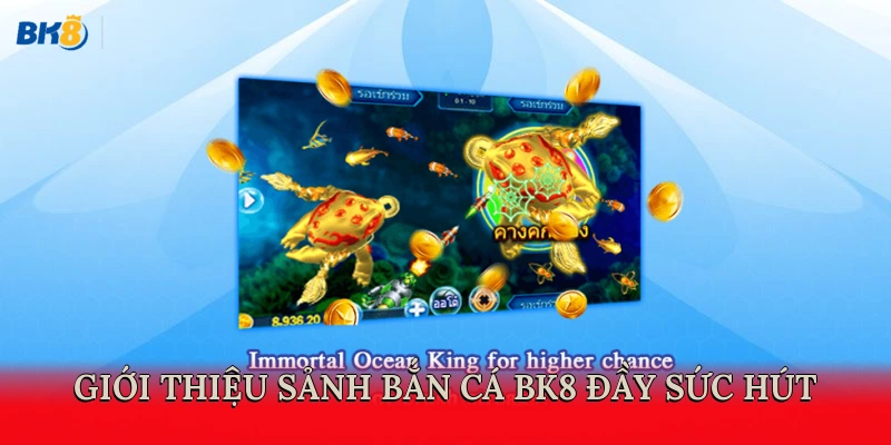 Giới thiệu sảnh bắn cá BK8 đầy sức hút