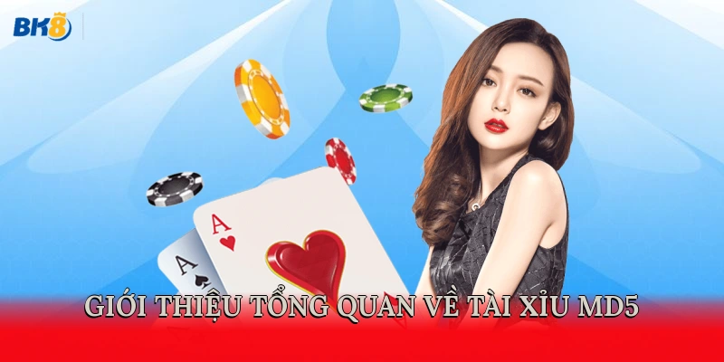 Giới thiệu tổng quan về tài xỉu MD5