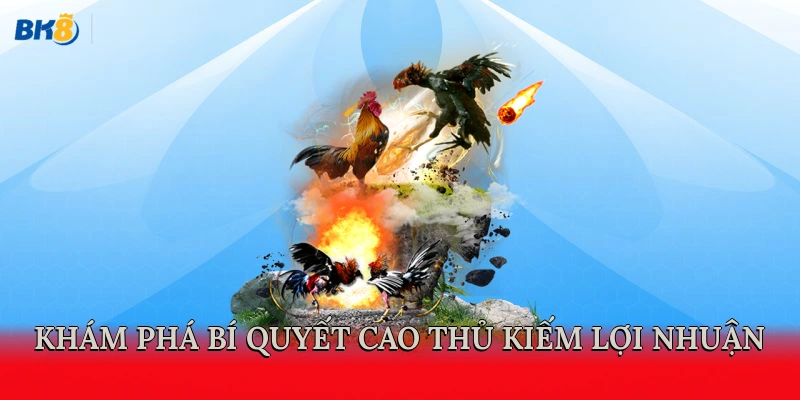 Khám phá bí quyết cao thủ kiếm lợi nhuận