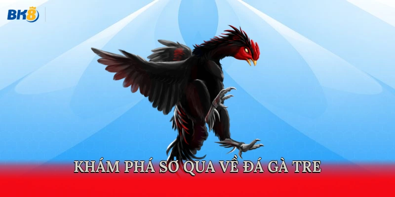 Khám phá sơ qua về đá gà tre