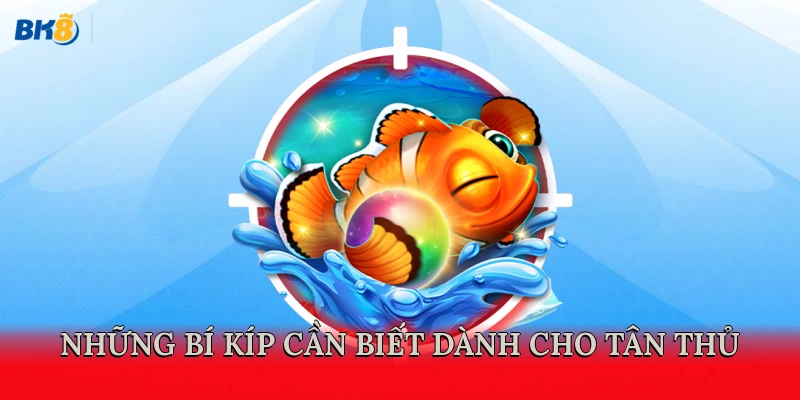 Những bí kíp cần biết dành cho tân thủ