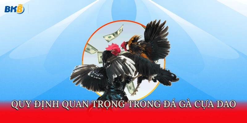 Các quy định quan trọng trong đá gà cựa dao