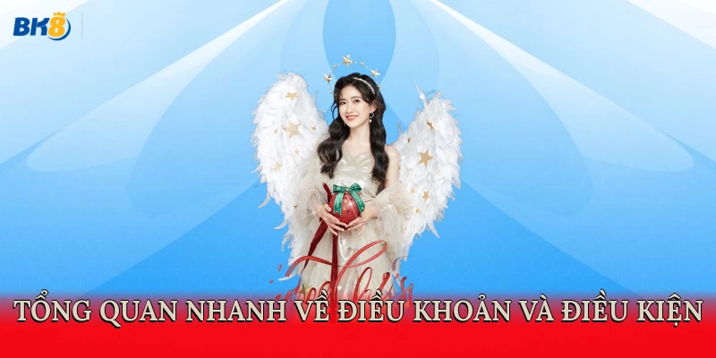 Tổng quan nhanh về điều khoản và điều kiện