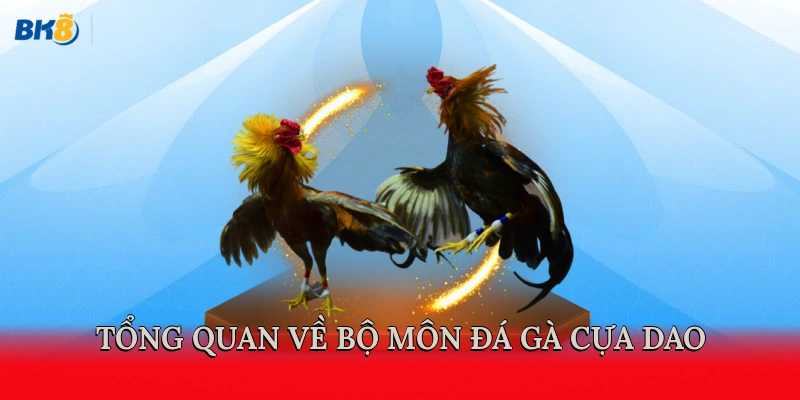Tổng quan về bộ môn đá gà cựa dao